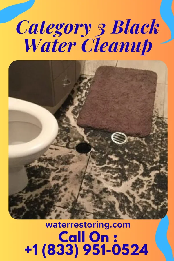 Category 3 Black Water Cleanup in Reeds Spring, MO